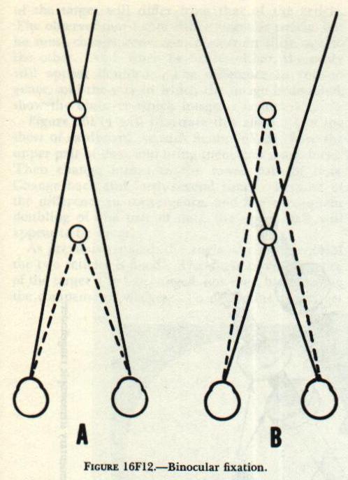 Figure 16F12 — Binocular vision and image doubling: how the two eyes perceive closer and farther objects as doubled in different directions