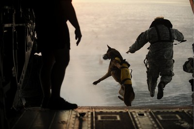 SEAL war dog jump
