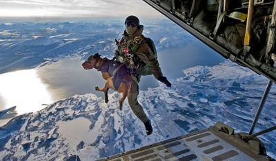 SEAL war dog jump