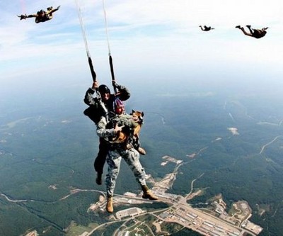 SEAL war dog in the air during a jump