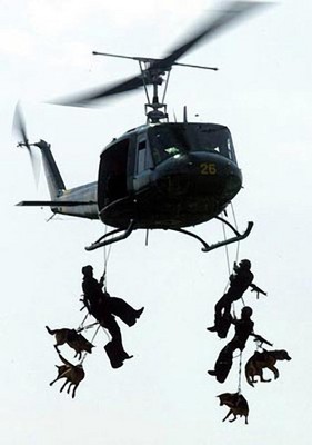 World record man-dog parachute jump