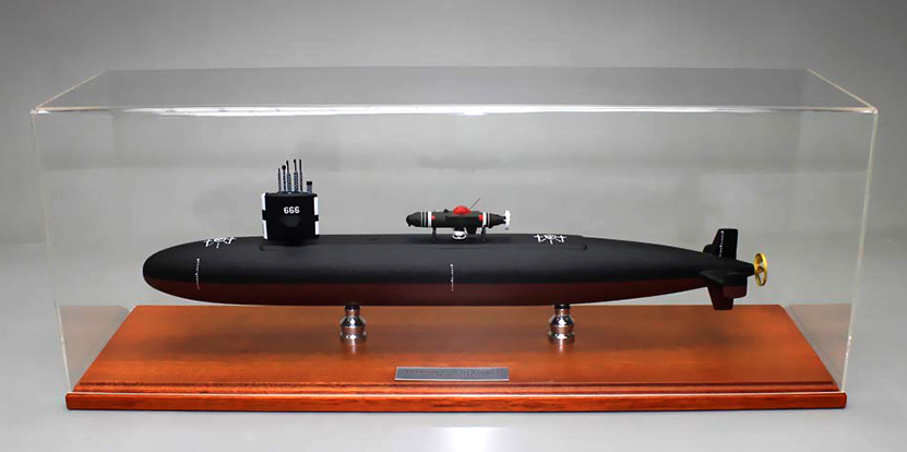 Hawkbill model