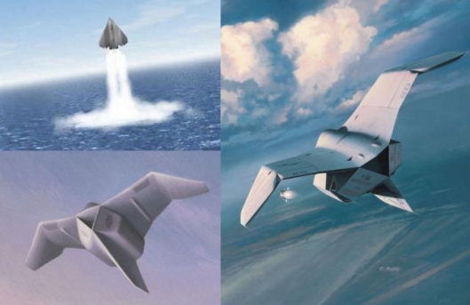 Cormorant MUAV aircraft
